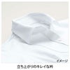 ESB594 ブラウス 事務服 カーシーカシマ